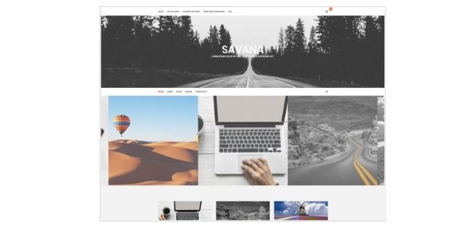 Savana Lite- Elegent WordPress Grid
