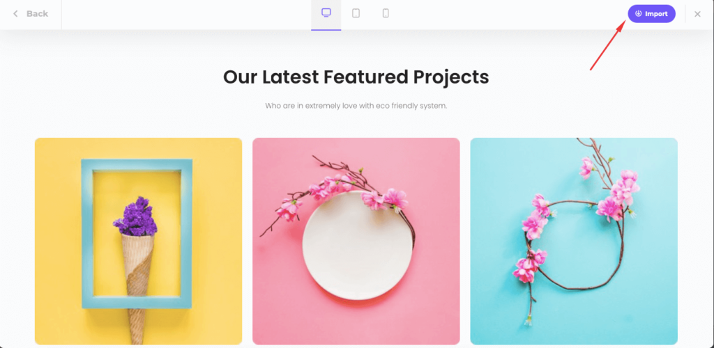 start import section