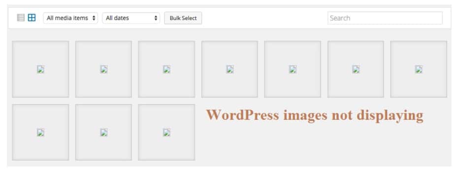 WordPress Images not Showing