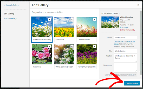 Edit Gallery