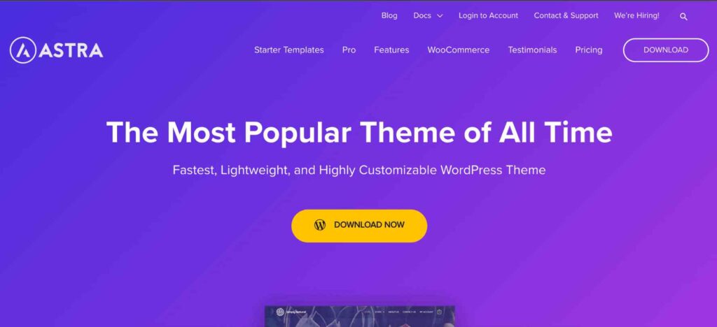 Astra- WordPress SEO Friendly Themes