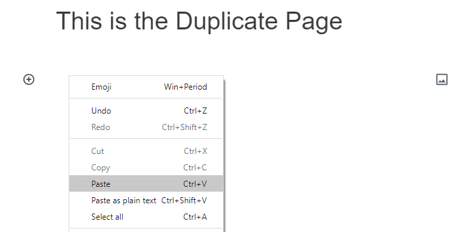 This is the Duplicate page.