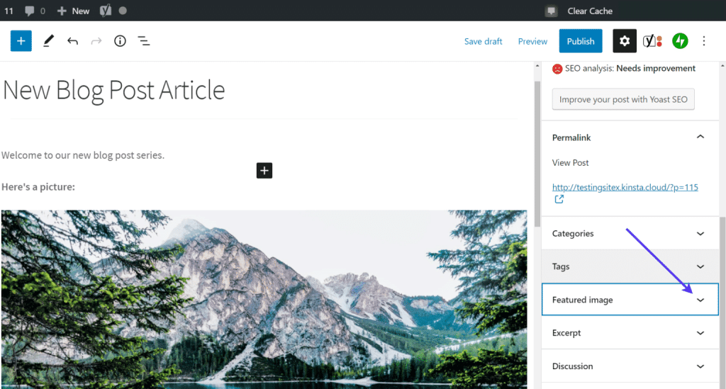 Featured Image Settings