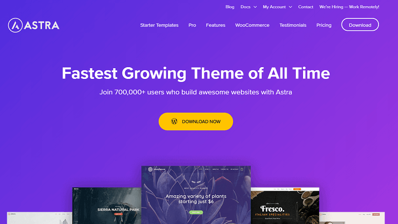Astra- Gutenberg-ready themes
