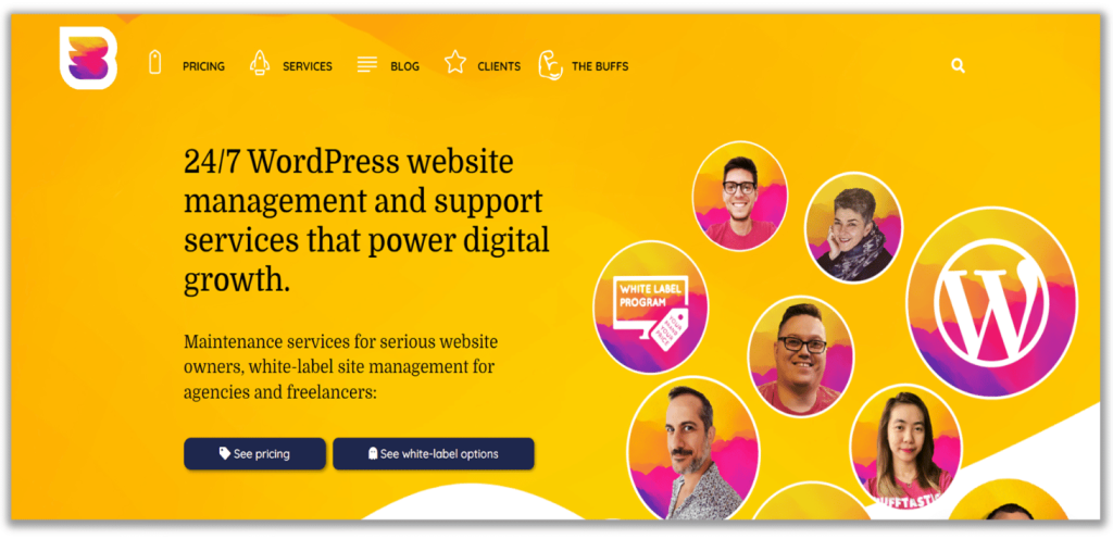 WP Buff- White Label WordPress Maintenance
