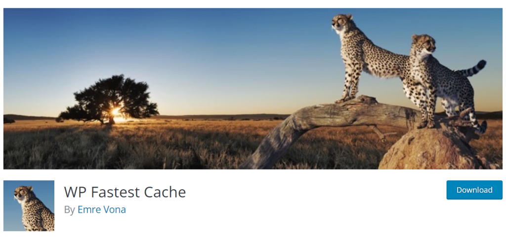 WP Fastest Cache